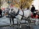 Pferdekutsche am Altstädter Ring in Prag