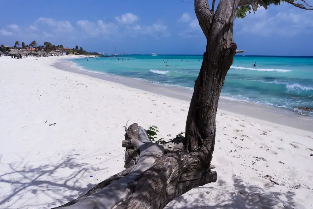 Arashi Beach auf Aruba: 5 Gründe, warum Du den Traumstrand lieben wirst