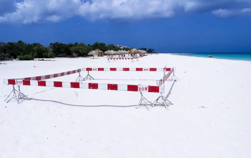 Sea Turtle Nest Eagle Beach