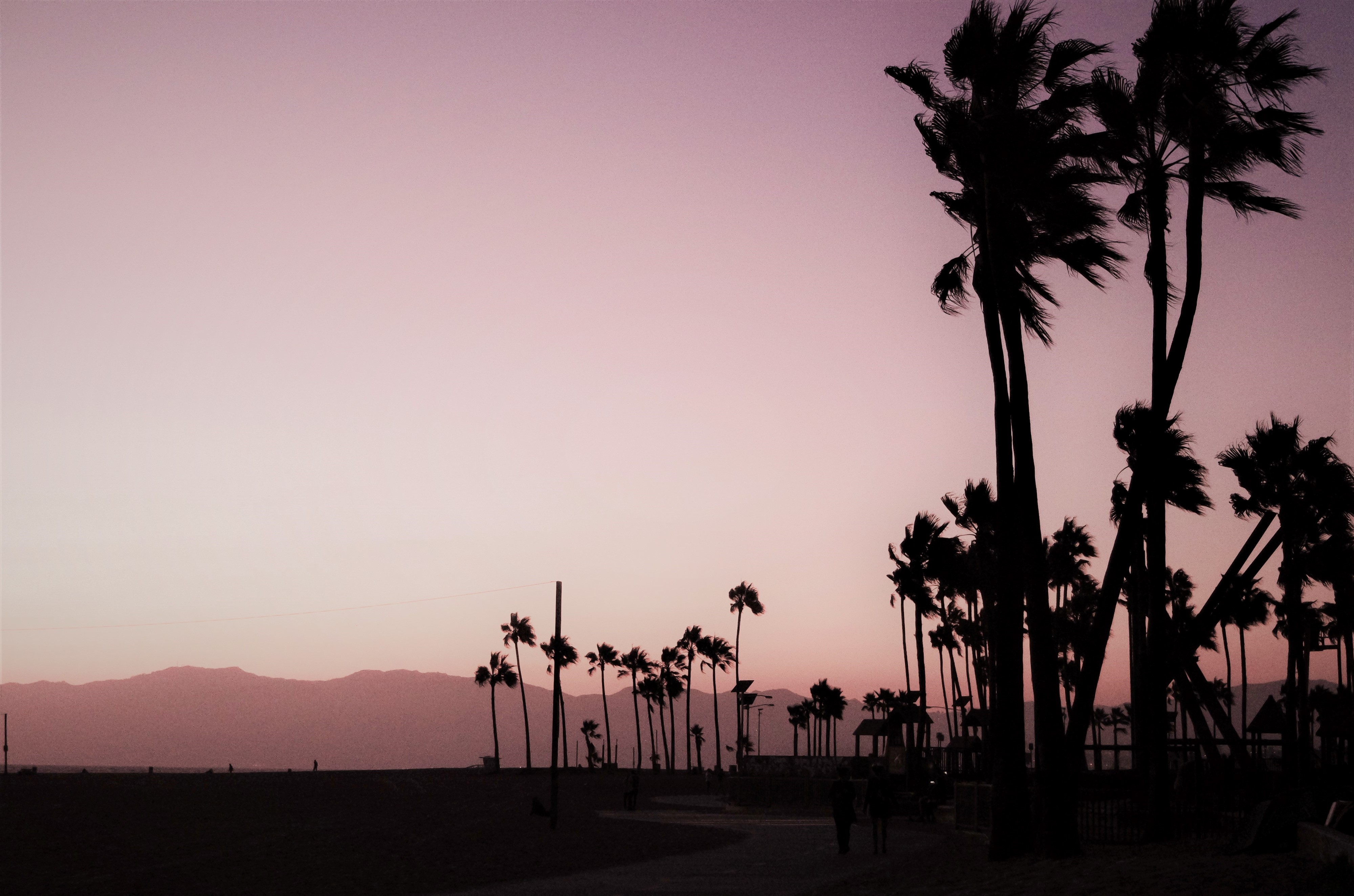 Los Angeles | Venice Beach