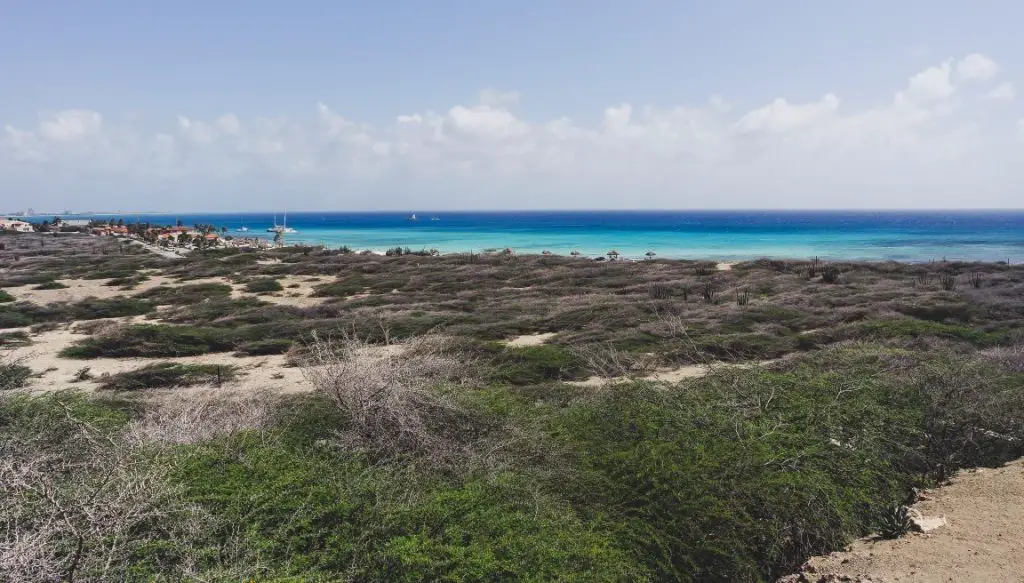 Aruba's landscape