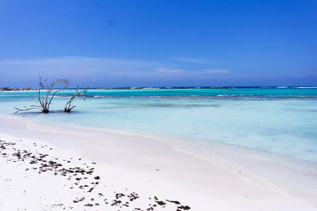 Aruba beaches Caribbean dream beaches
