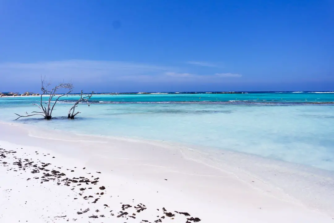 Caribbean Dreams: These are Aruba’s most beautiful beaches