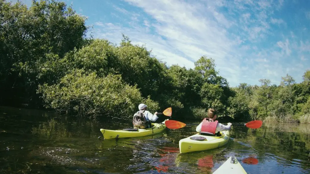Kayak Tour Everglades