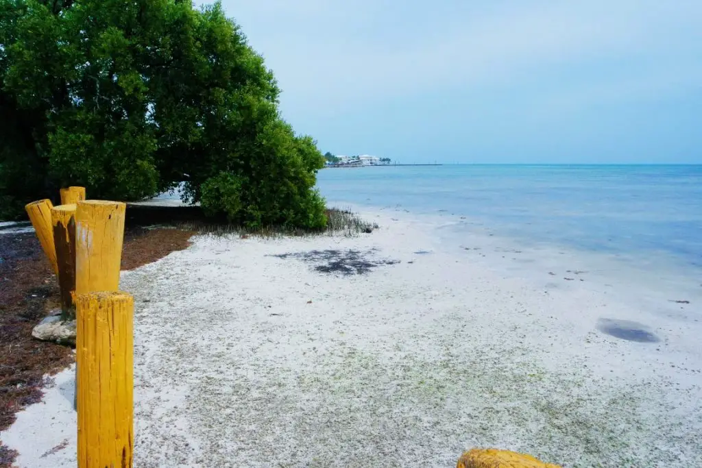 Annes Beach Islamorada