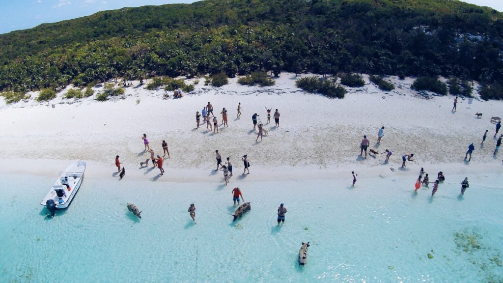 Pig Beach auf den Exuma Cays, Bahamas