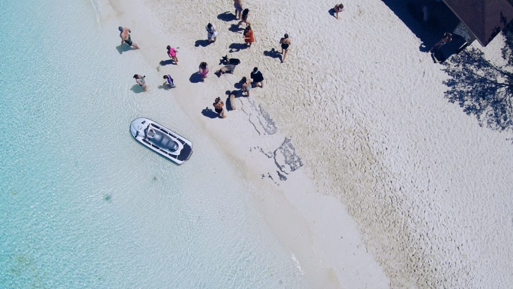 Pig Beach Bahamas Drohne