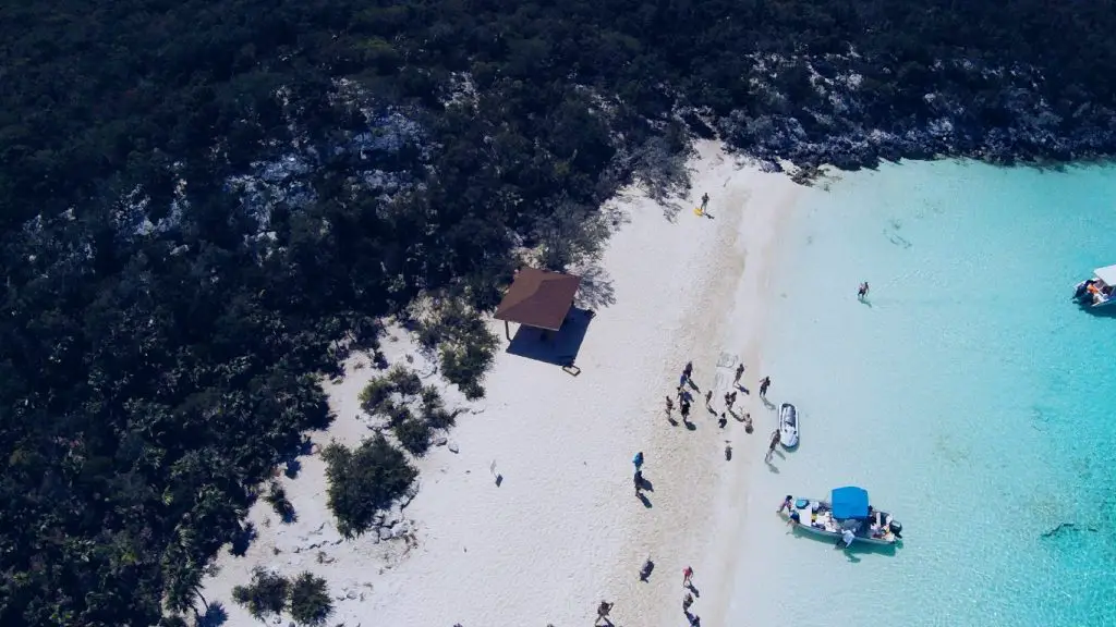 Pig Island Bahamas Drone