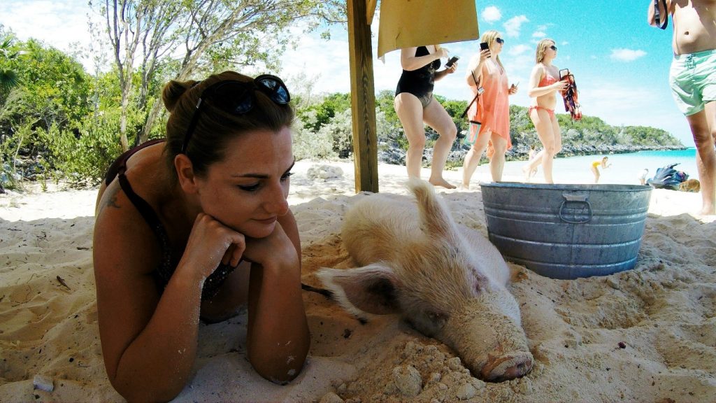 Schweine Selfie Bahamas