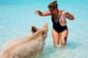 Schwimmende Schweine Karibik
