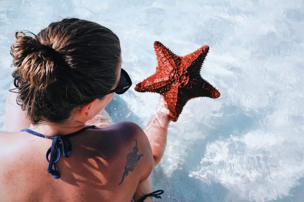 Exuma Starfish Stocking Island