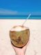 Kokosnuss am 7 Mile Beach Negril Jamaika