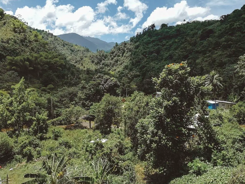 Swift River, Chelsea, Jamaica