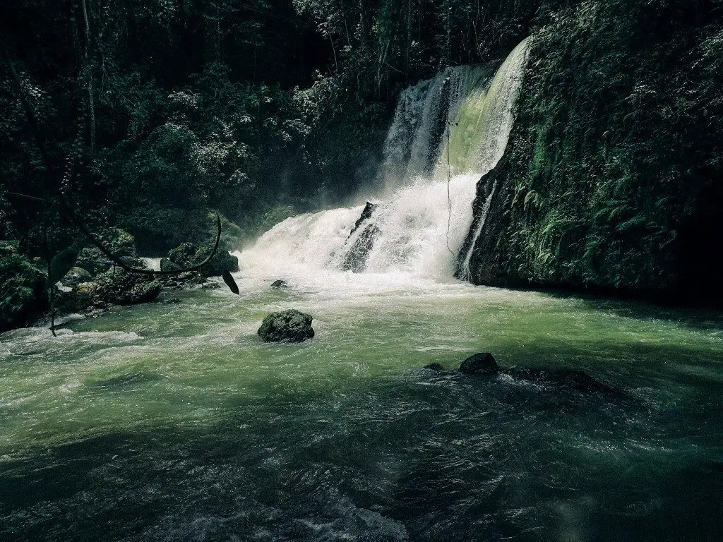 Jungle meets the Caribbean: In 40 breathtaking pictures of Jamaica