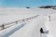 Oberstaufen Allgäu im Winter mit Haubers Hofkatze