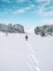 Allgäu Oberstaufen Winter Wonderland