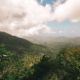 Blue Mountains Jamaika