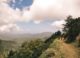 Blue Mountain Peak Trail Jamaika
