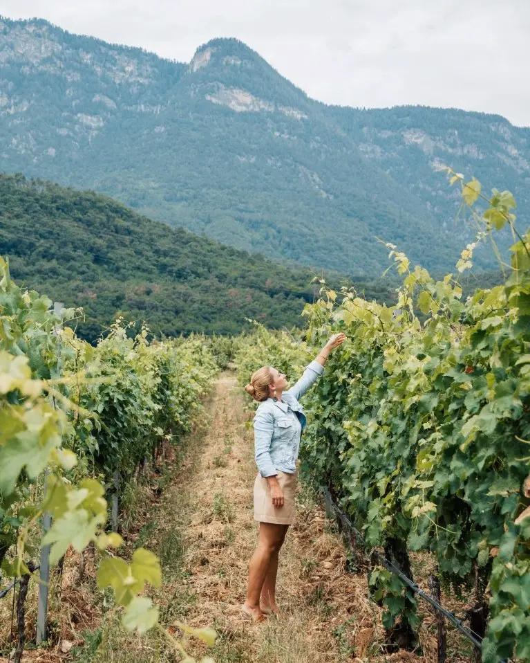 Weinberge im Meraner Land