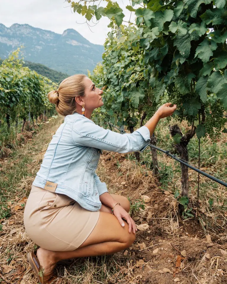 Wein Tour Hotel Ansitz Plantitscherhof