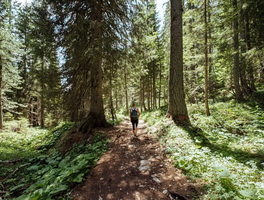 Wanderung zum Lago di Sorapis