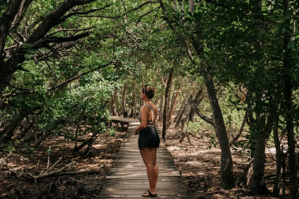 Curieuse Island Seychellen