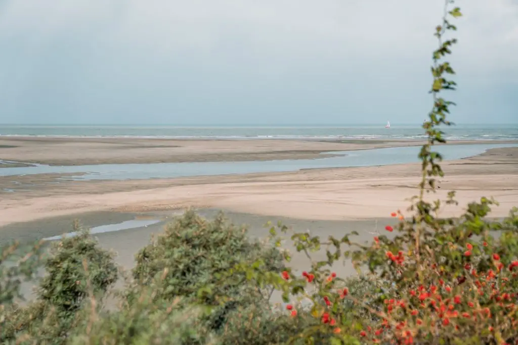 Naturschutzgebiet Het Zwin Zeeland