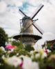 Windmühle von Sluis Zeeland