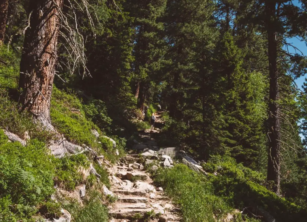 Olpererhütte Wanderung