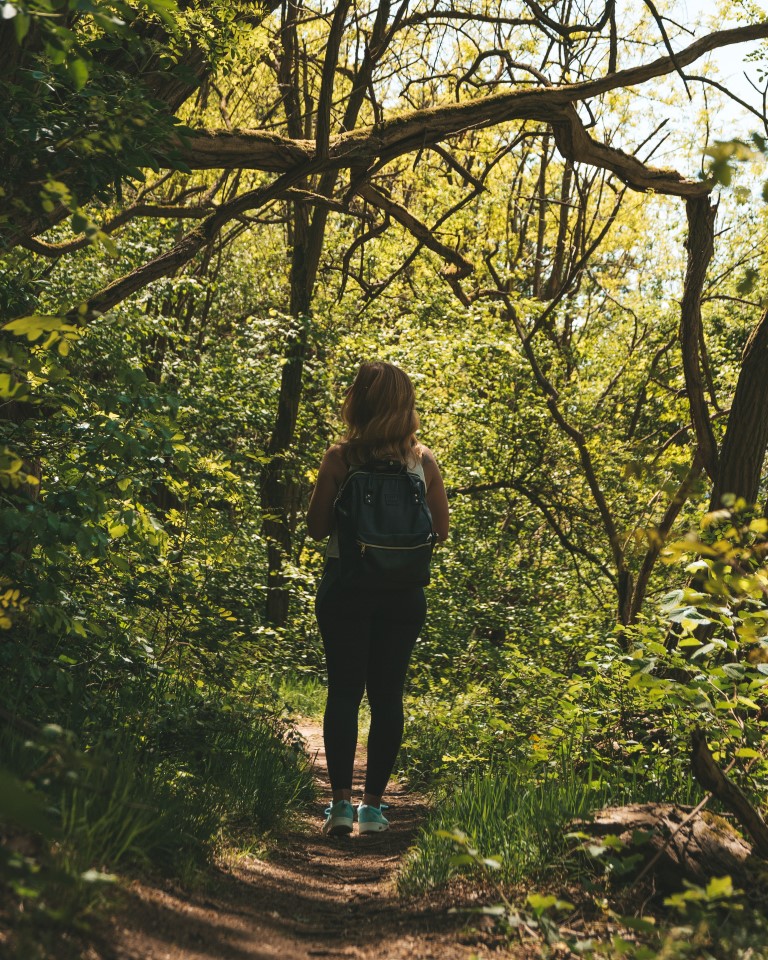 Roman path Odenwald Miltenberg