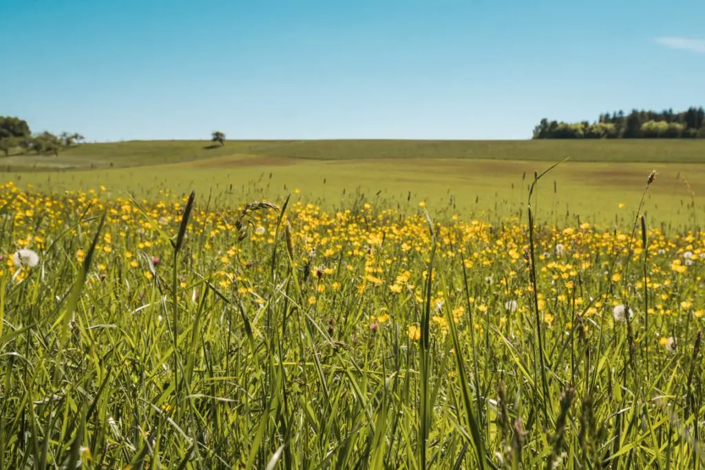 Römerweg Wanderung Miltenberg