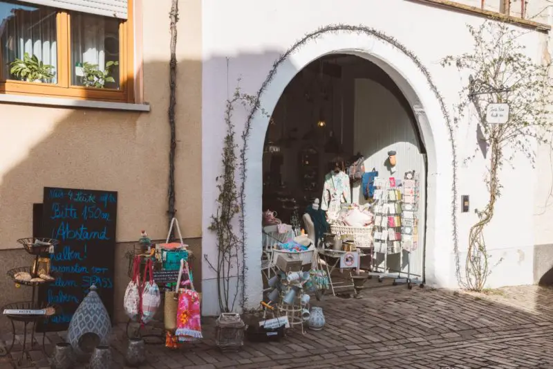 Mandelblüte in der Pfalz Das sind die schönsten Spots