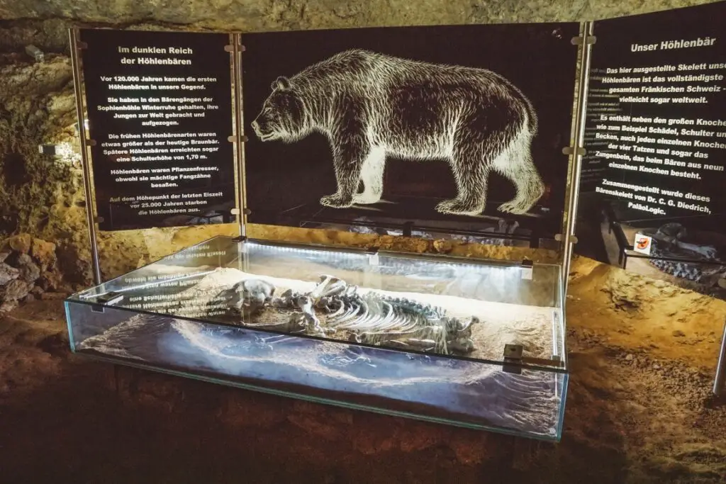 Sophienhöhle Fränkische Schweiz