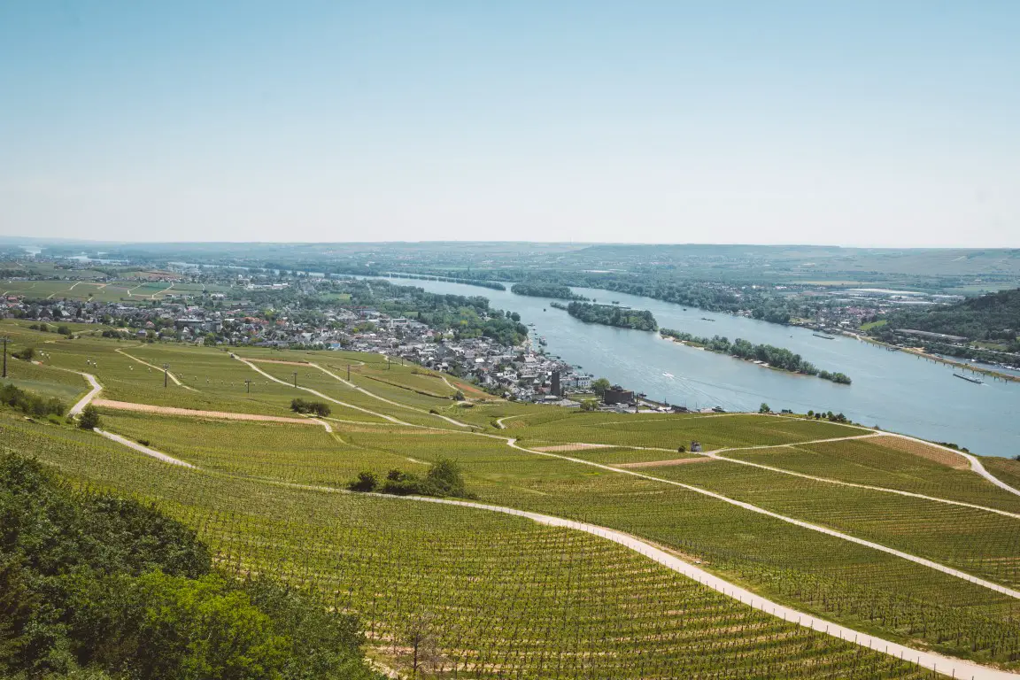 Rüdesheim Ringtour Assmansshausen