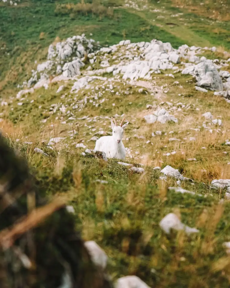 Gardasee Wanderung Monte Baldo