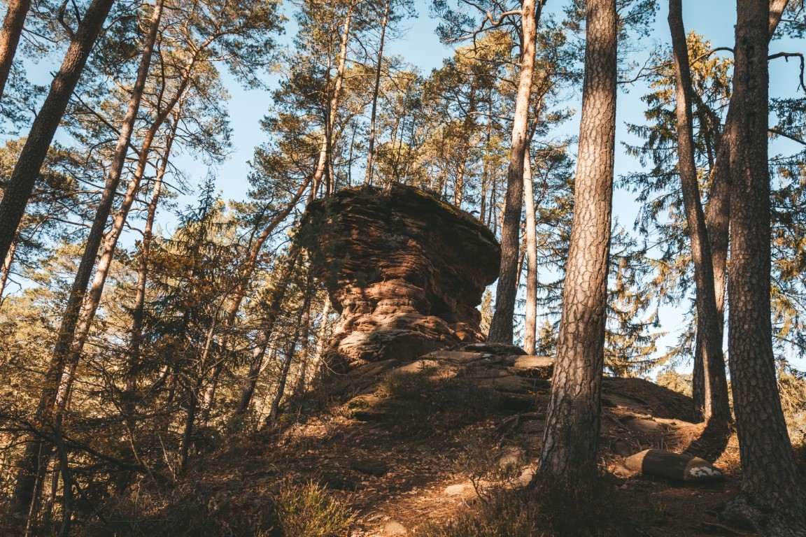 Dahner Felsenland Pfälzer Wald