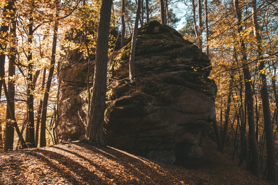 Dahner Felsenland Pfälzer Wald