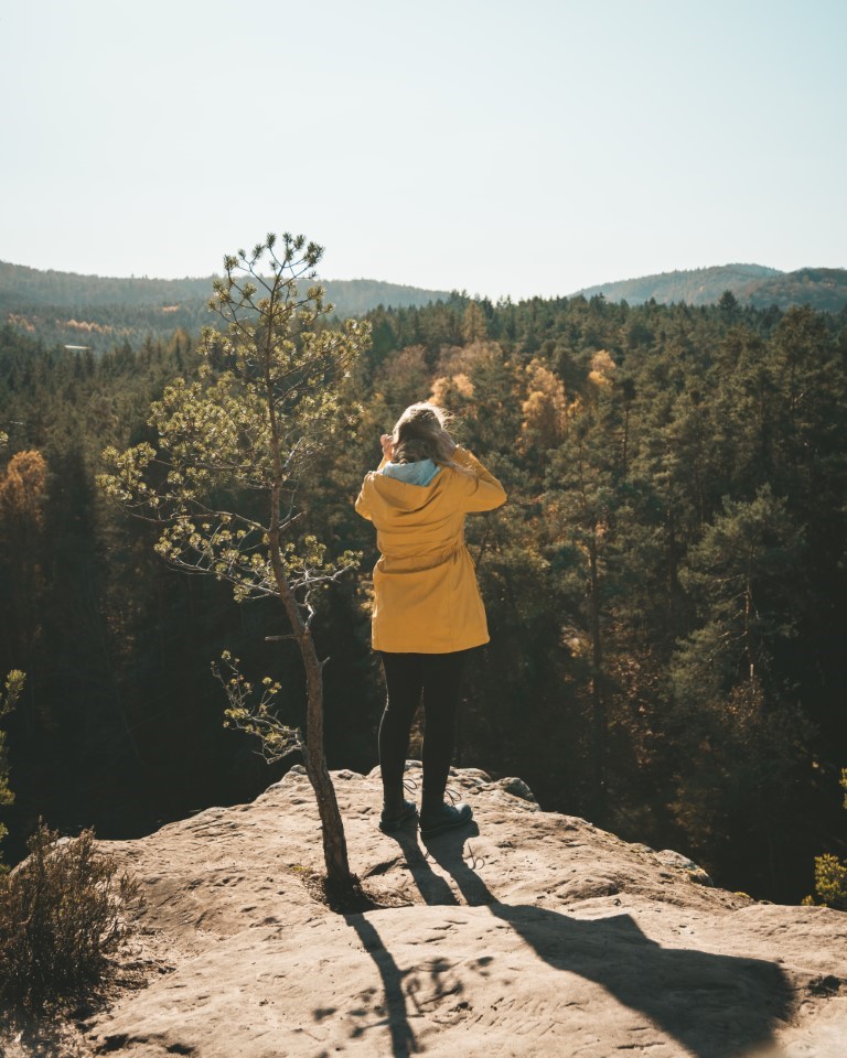 Dahner Felsenpfad wandern