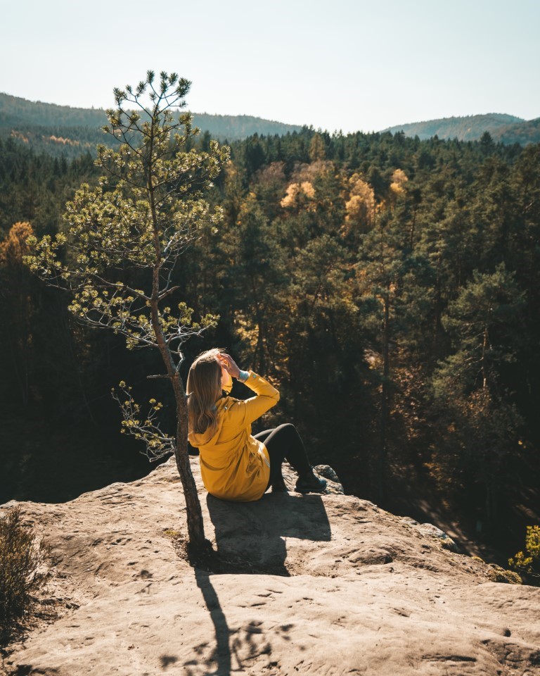 Dahner Felsenpfad wandern Elwetritschfelsen