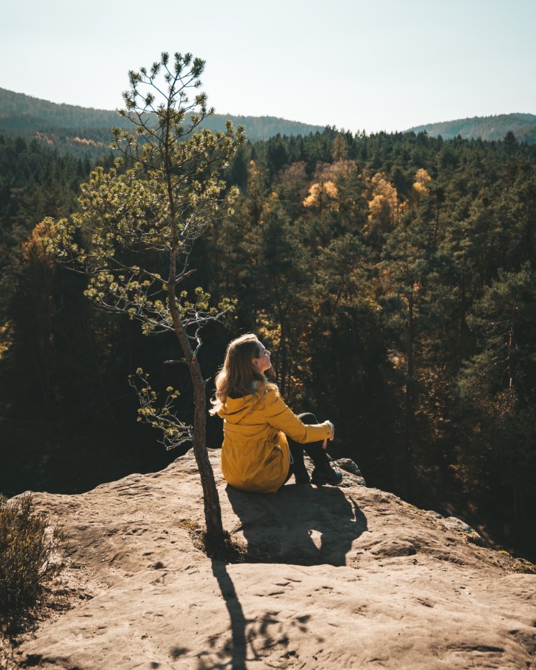 Dahner Felsenpfad wandern