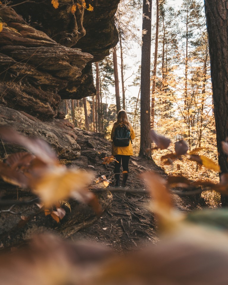 Dahner Felsenpfad Wanderung