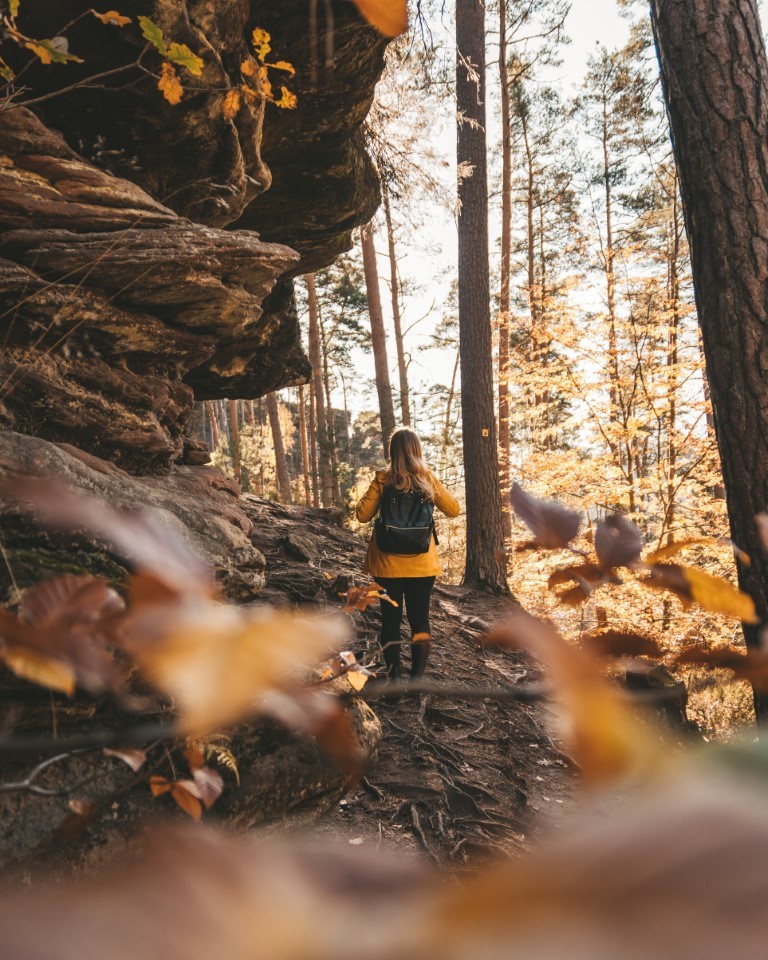 Dahner Felsenpfad wandern