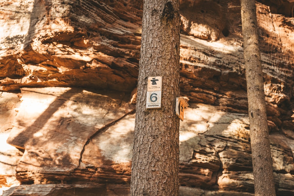 Pfälzerwald Wegweiser Dahner Felsenpfad