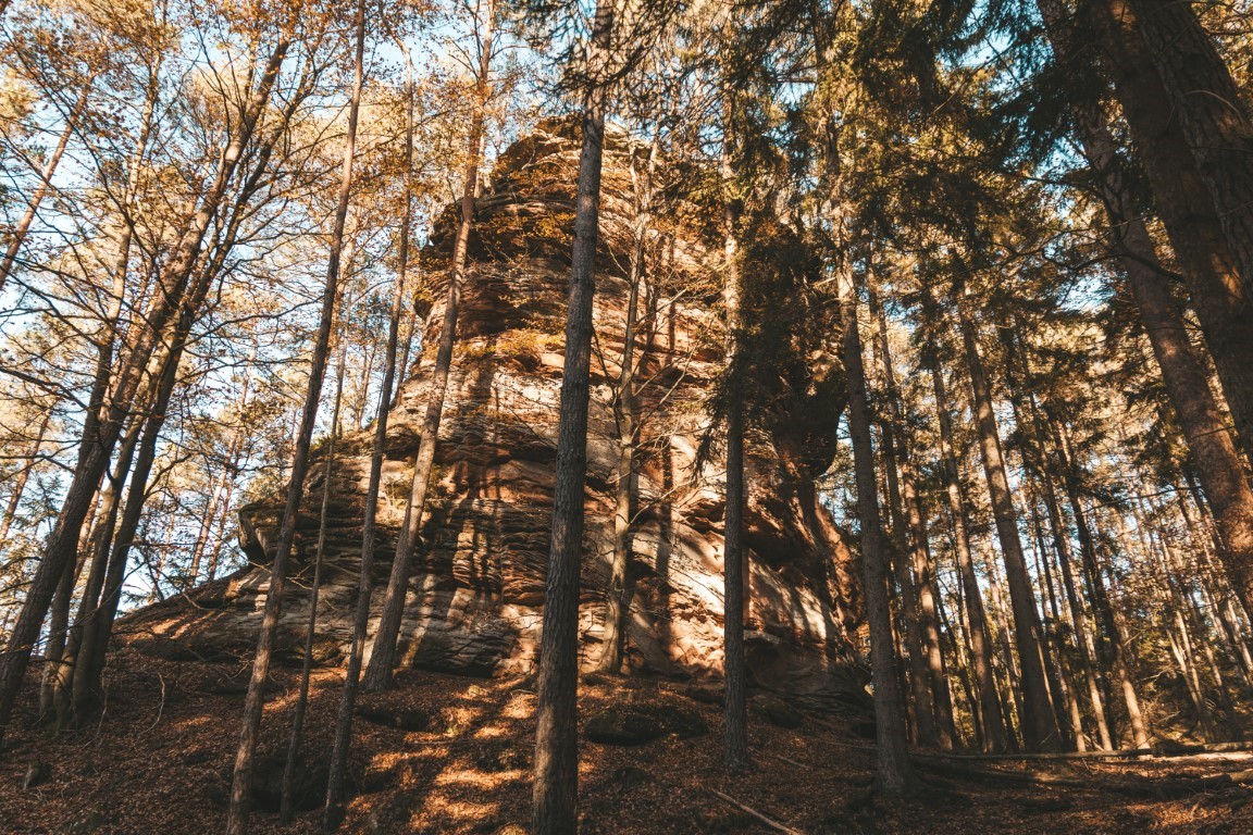 Pfälzerwald Dahn