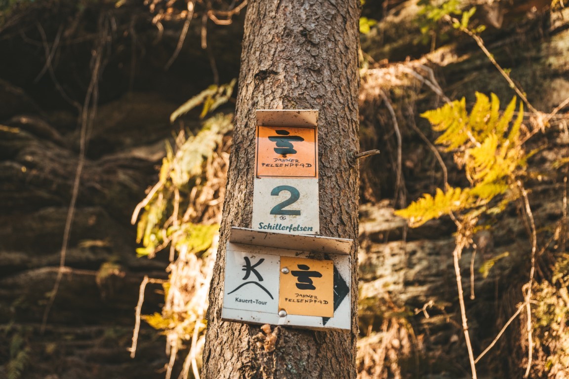 Wanderung Dahner Felsenpfad