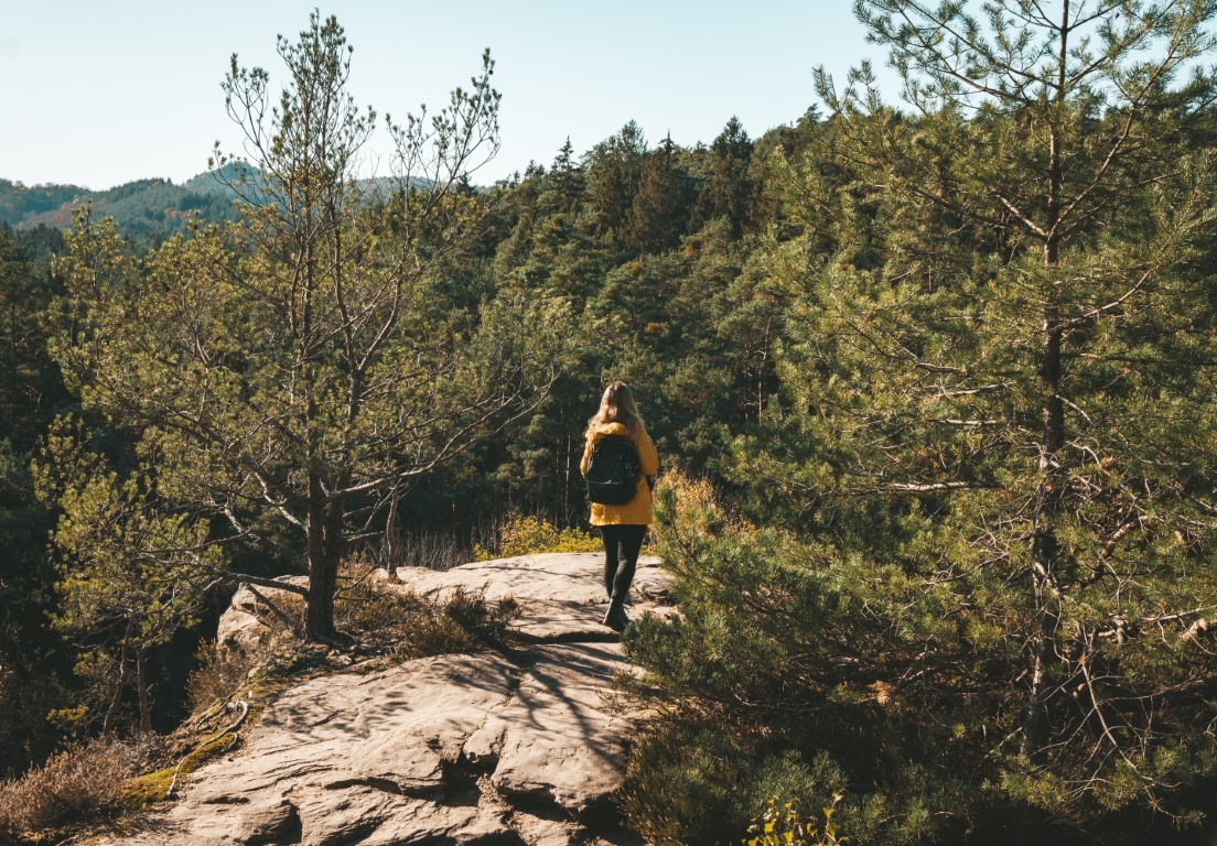 Wanderung Dahner Felsenpfad