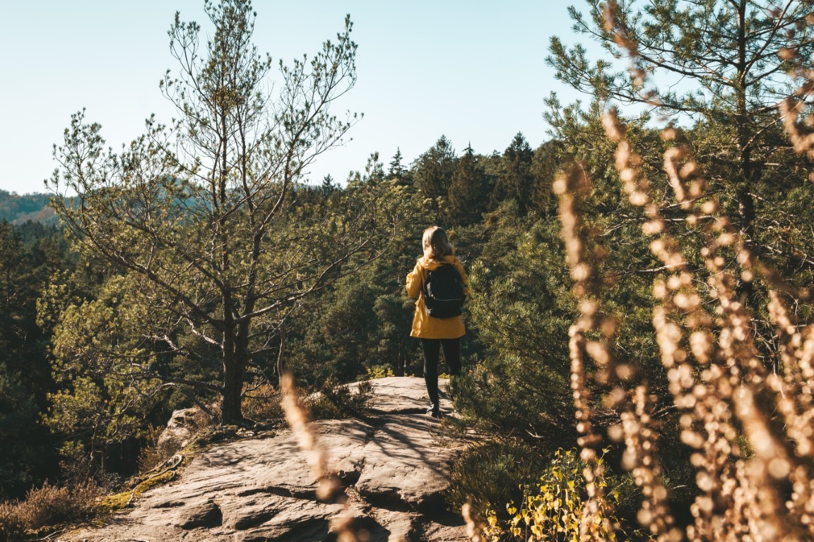 Wanderung Dahner Felsenpfad