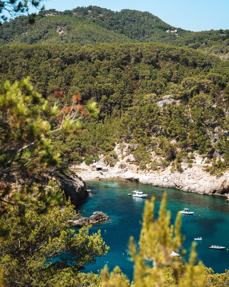 Playa des Port de Sant Miquel