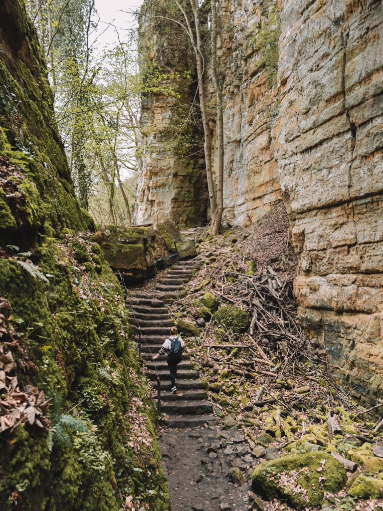 Wolfsschlucht Echternach