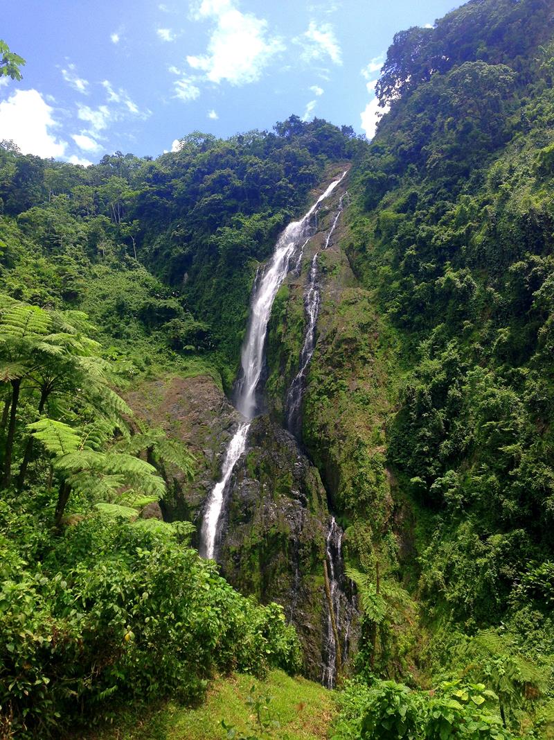 Dominikanische Republik Wasserfall Salto de la Jalda